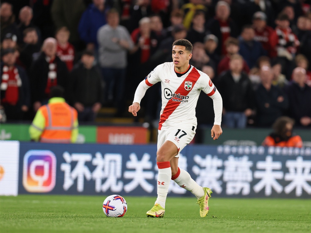 赛山东日照 赛山东日照